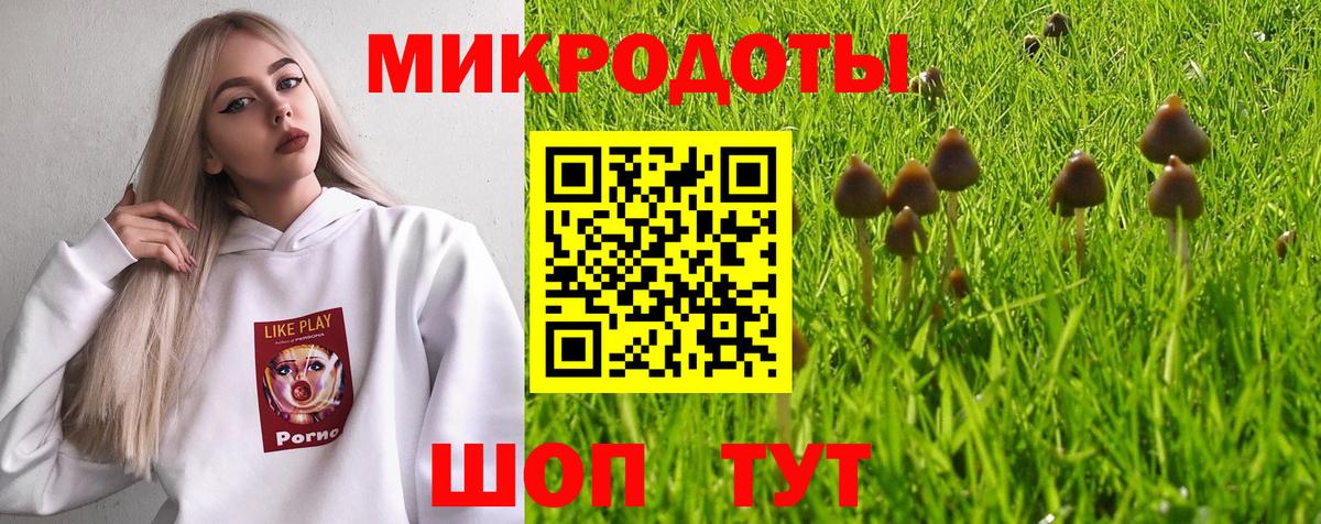 Псилоцибиновые грибы Psilocybine cubensis  Псилоцибиновые грибы GOLDEN TEACHER  Вход с VPN  Конаково 